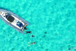 swim with turtle to island noumea